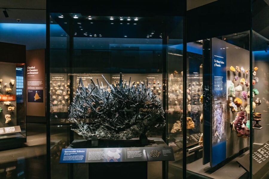 New York City: American Museum of Natural History Ticket - The new Richard Gilder Center