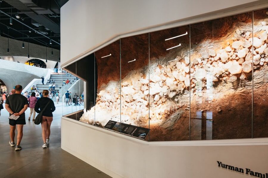 New York City: American Museum of Natural History Ticket - Animals, biodiversity, and world cultures