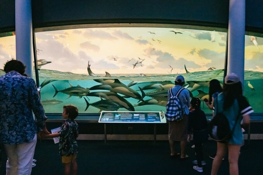 New York City: American Museum of Natural History Ticket - Special exhibitions worth adding