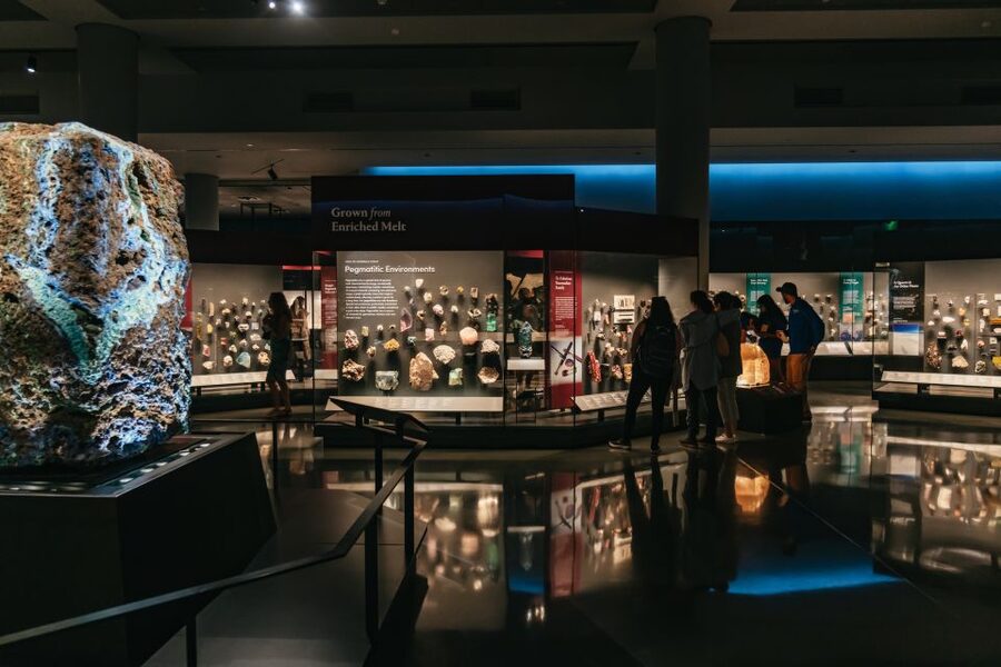 New York City: American Museum of Natural History Ticket - How long should you allow?