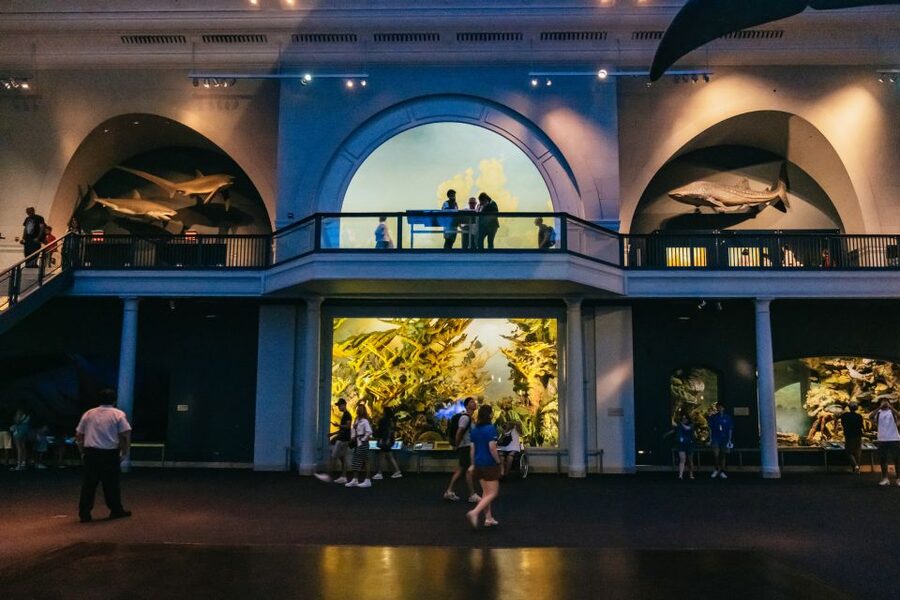 New York City: American Museum of Natural History Ticket - Family appeal and adult interest