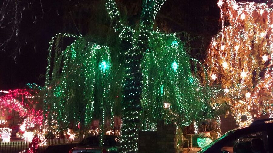 New York City: Dyker Heights Christmas Lights Tour - Key things to know before you book