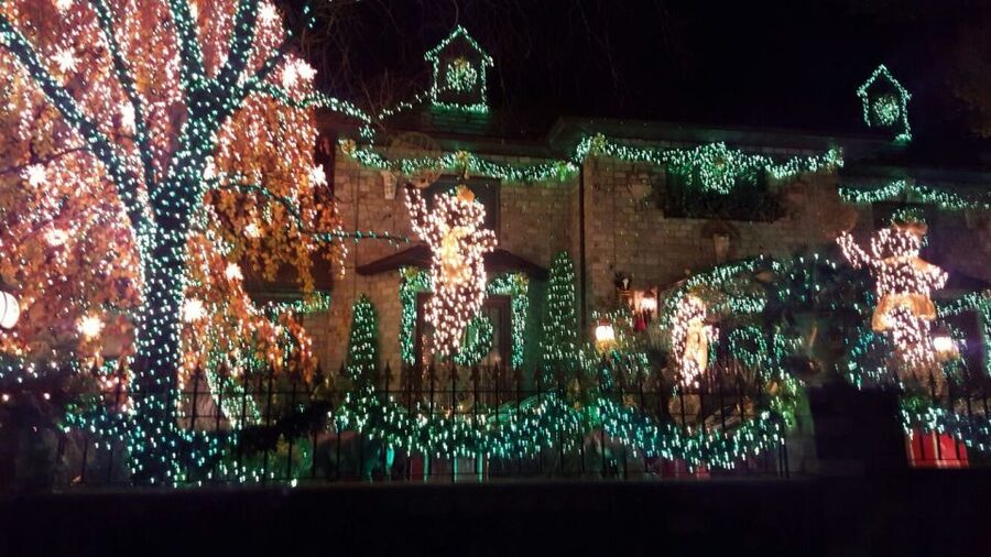 New York City: Dyker Heights Christmas Lights Tour - Is the four-hour pace right for you?