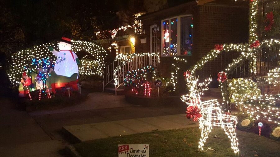New York City: Dyker Heights Christmas Lights Tour - Why this $46 evening tour offers good value