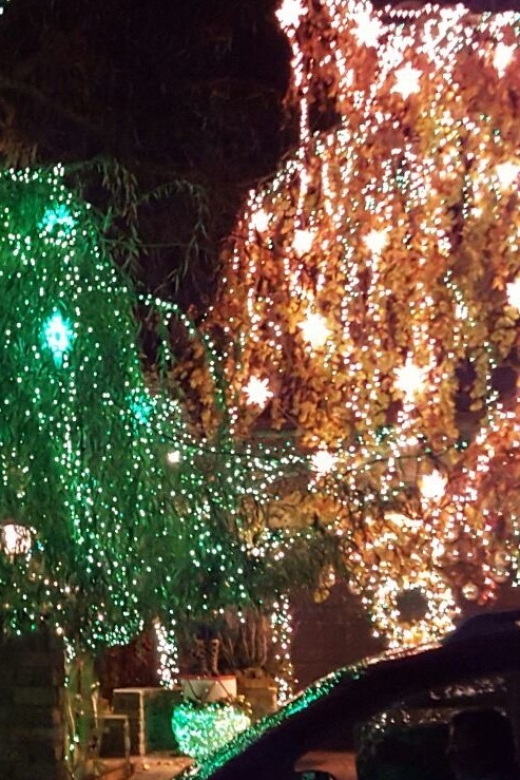 New York City: Dyker Heights Christmas Lights Tour - The ride back through Brooklyn to DUMBO