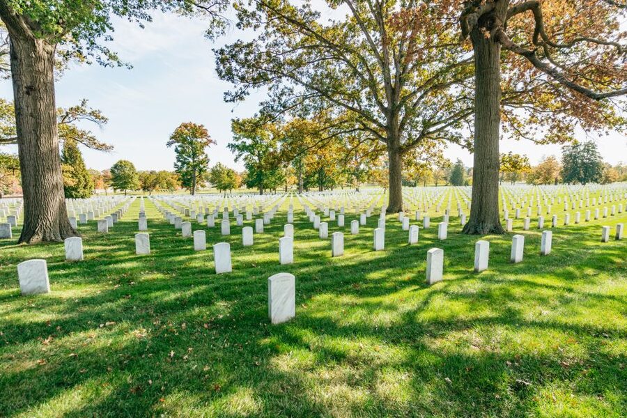 New York City: Full-Day Washington DC City Highlights Tour - Is $149 a fair price?