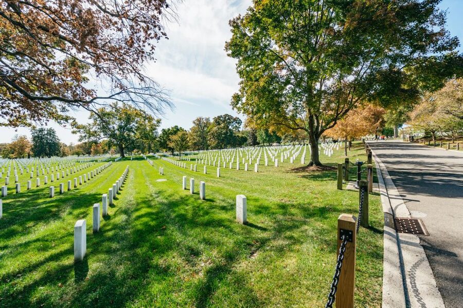 New York City: Full-Day Washington DC City Highlights Tour - Capitol Hill, the Senate, and the center of government
