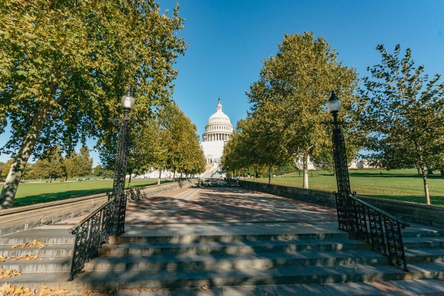 New York City: Full-Day Washington DC City Highlights Tour - The late afternoon city drive