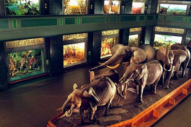 New York CityPASS® - American Museum of Natural History: plan four hours