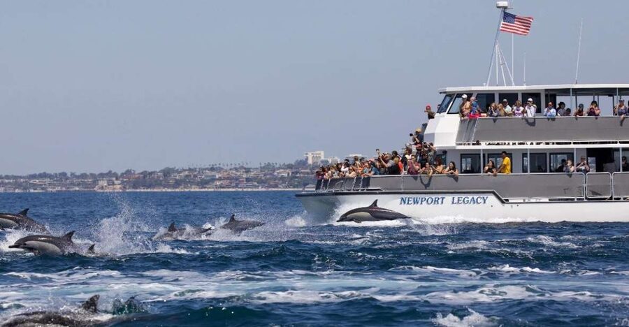 Newport Beach: Whale and Dolphin-Watching Cruise - Balboa Island and the first coastal views