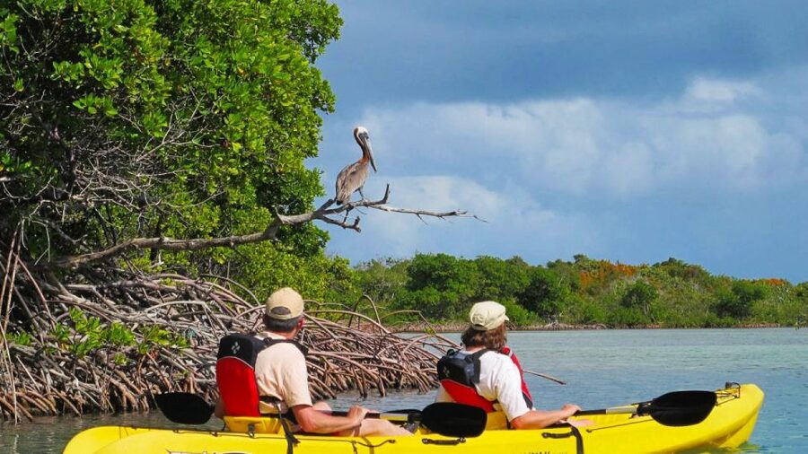 North Miami: Nature & Island Exploration on SUP/Kayak - Why this makes a good break from Miami