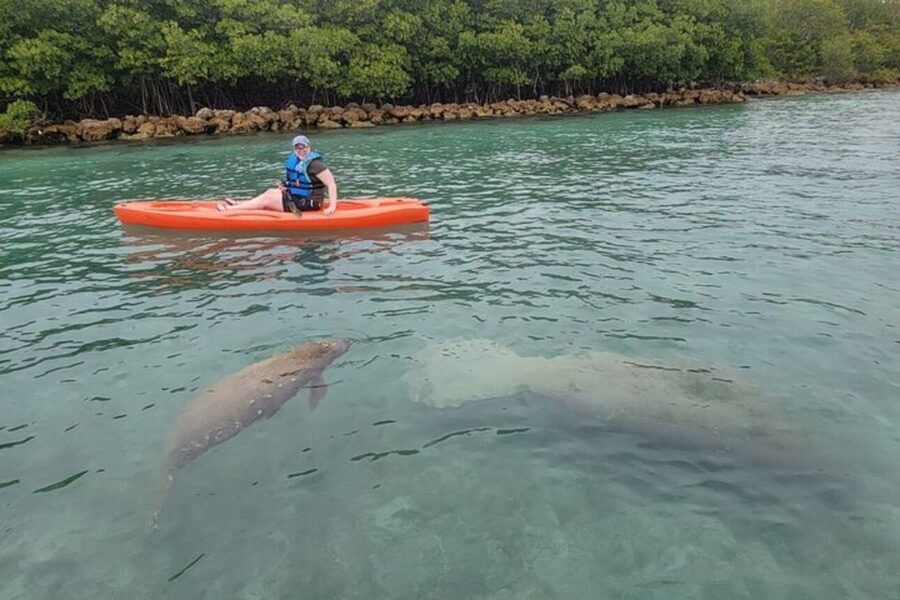 North Miami: Nature & Island Exploration on SUP/Kayak - Paddling through the Osprey Triangle