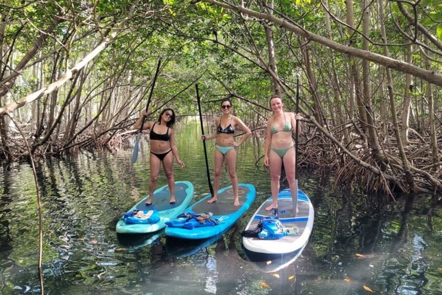 North Miami: Nature & Island Exploration on SUP/Kayak - Swimming, snorkeling, and the return route