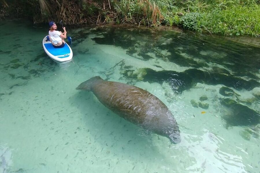 North Miami: Nature & Island Exploration on SUP/Kayak - What $99 includes, and what it does not