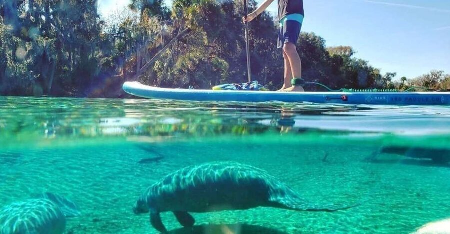 North Miami: Nature & Island Exploration on SUP/Kayak - Meeting at Venetian Marina and getting ready
