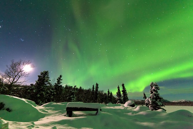Northern Lights & Arctic Circle Tour - A 2 p.m. departure from Fairbanks