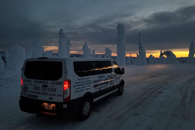 Northern Lights & Arctic Circle Tour - The return becomes an aurora hunt