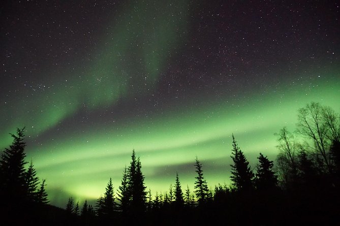 Northern Lights & Arctic Circle Tour - Why the small group helps, and where it falls short