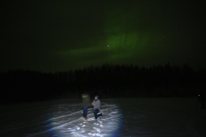 Northern Lights & Chena Hot Springs Tour - Five things to know before you book
