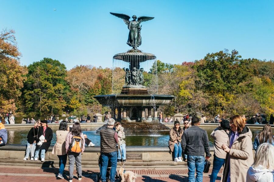 NYC: Central Park Guided Pedicab Tour - Key Points Before You Book