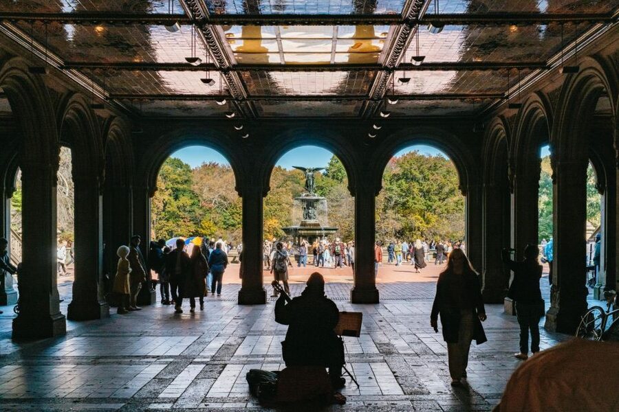 NYC: Central Park Guided Pedicab Tour - Weather, Comfort, and What to Expect