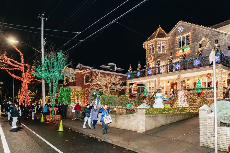 NYC: Dyker Heights Christmas Lights & Skyline View Bus Tour - Who will enjoy this tour most?