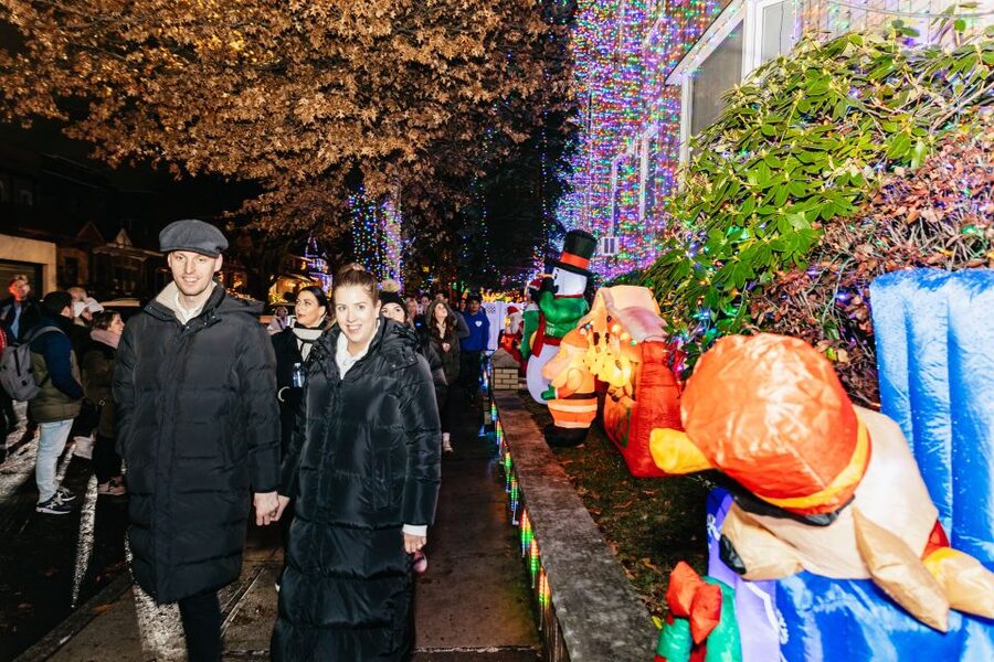 NYC: Dyker Heights Christmas Lights & Skyline View Bus Tour - How much value do you get for $69?