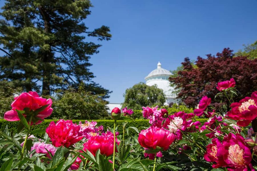 NYC: New York Botanical Garden Pass - Who Will Enjoy NYBG Most?