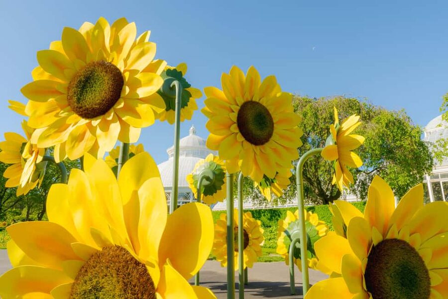 NYC: New York Botanical Garden Pass - The Haupt Conservatory and Indoor Collections