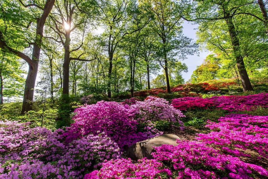 NYC: New York Botanical Garden Pass - Formal Gardens and Signature Plant Collections