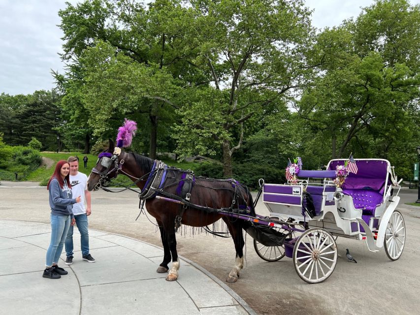 NYC: Private Central Park Horse Carriage Ride with Guide - Key details before you book