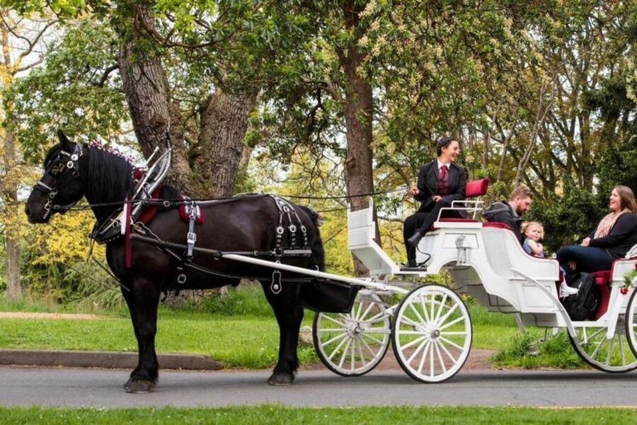 NYC: Private Central Park Horse Carriage Ride with Guide - A classic ride from Central Park South