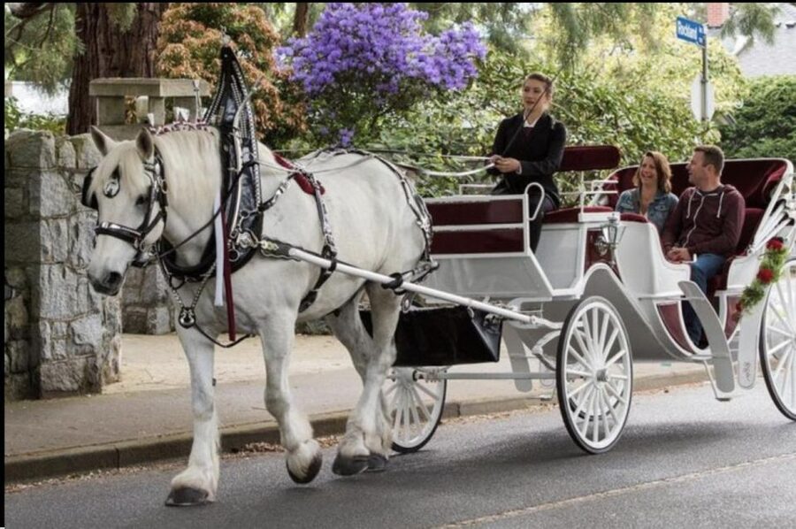 NYC: Private Central Park Horse Carriage Ride with Guide - Your guide makes the difference