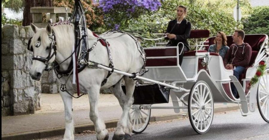 NYC: Private Central Park Horse Carriage Ride with Guide - Daytime, evening, and winter rides