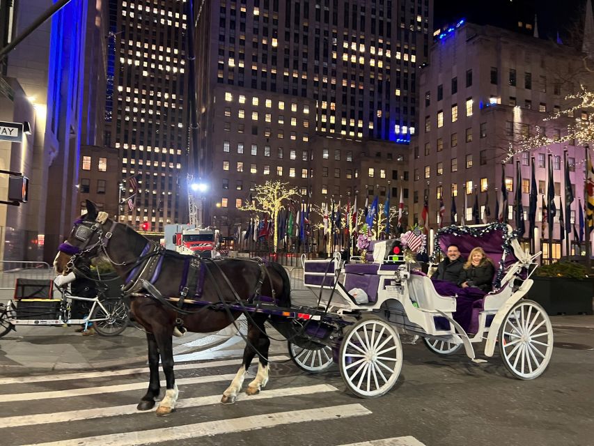 NYC: Private Central Park Horse Carriage Ride with Guide - Practical tips for a smoother ride