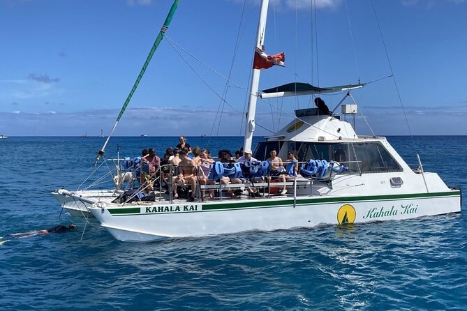 Oahu Catamaran Snorkel Tour: See Turtles 100% Guaranteed - How the Crew Supports Families and Nervous Swimmers