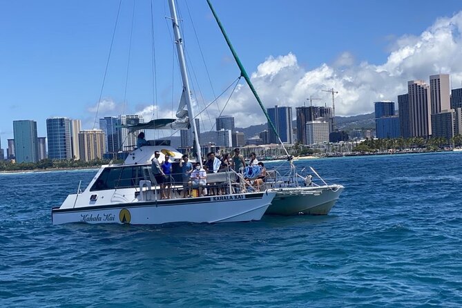 Oahu Catamaran Snorkel Tour: See Turtles 100% Guaranteed - The Return Ride and Extra Wildlife