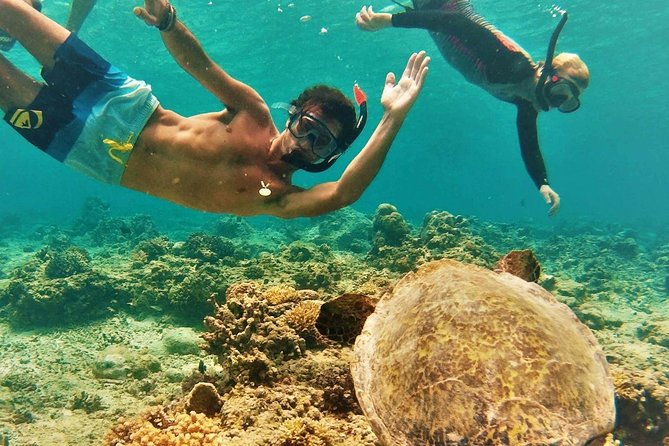 Oahu Circle Island Tour with Turtle Snorkeling— Small-Groups - Diamond Head and Halona Blowhole
