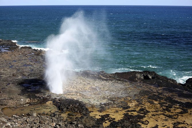 Oahu Circle Island Tour with Waimea Waterfall - Coffee, macadamia nuts, and the Kualoa coast