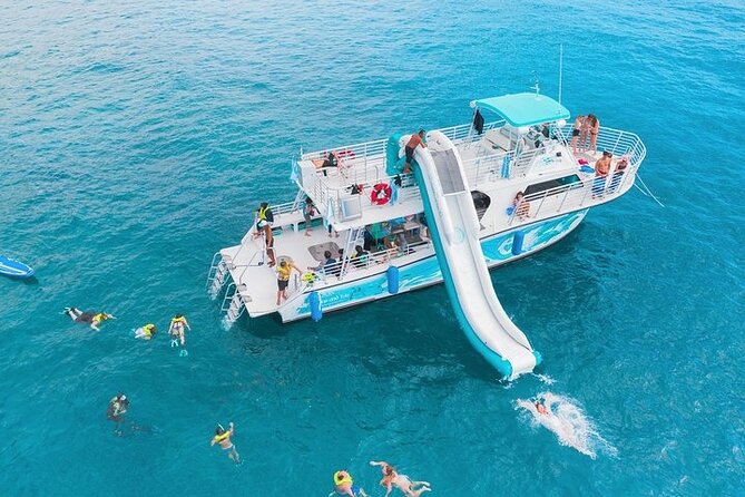 Oahu Dolphin and Snorkel Tour with Waikiki Pickup & Lunch - Key points to know before booking