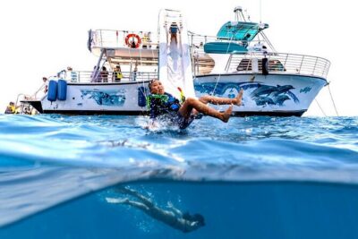 Oahu Dolphin and Snorkel Tour with Waikiki Pickup & Lunch