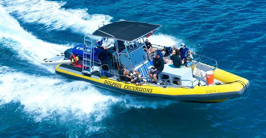 Oahu: Dolphin Swim and Turtle Snorkel Excursion in Waianae - Leaving Waikiki for Oahu’s Waianae coast