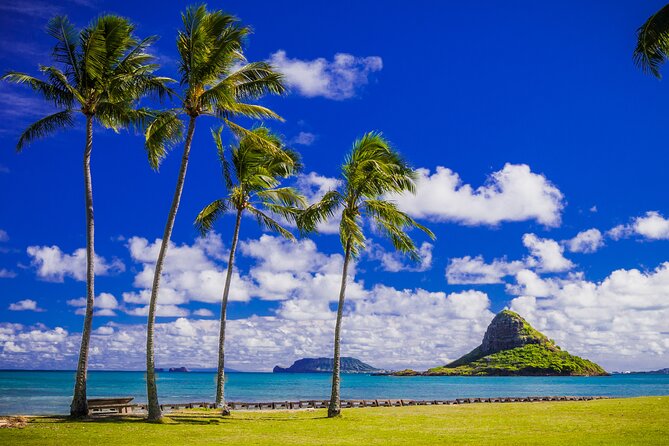 Oahu Grand Circle Island and Haleiwa Tour: 9-Hr Deluxe Experience - The North Shore and Haleiwa give you the longest break