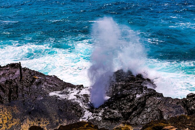 Oahu Grand Circle Island and Haleiwa Tour: 9-Hr Deluxe Experience - Dole Plantation, pineapple, and the final sweet stop