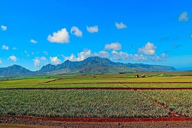 Oahu Grand Circle Island Experience from Waikiki - Kahuku shrimp makes lunch a local-food highlight