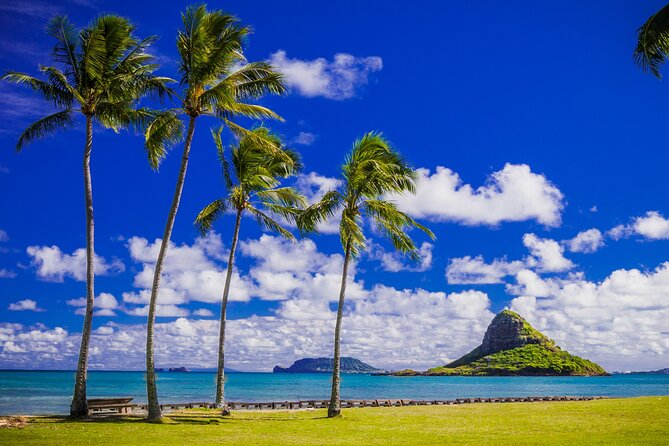 Oahu: Grand Tour Around Island 16 Locations plus Snorkeling - Dole Plantation and Green World Coffee Farms