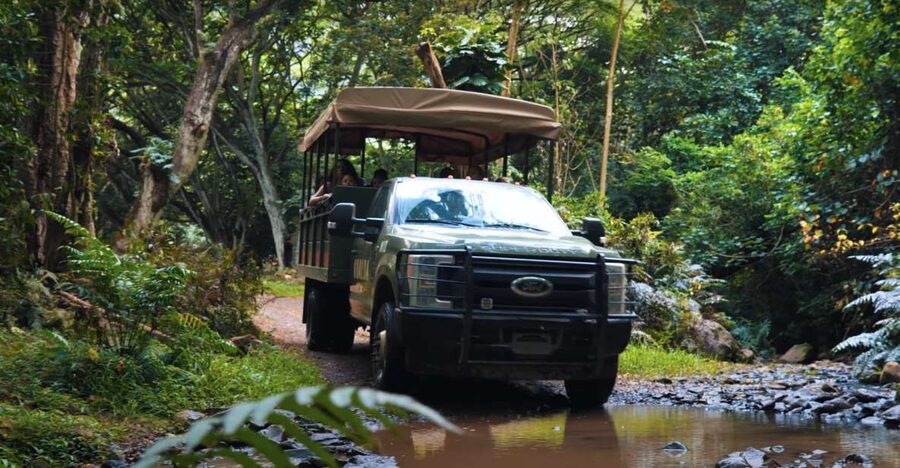 Oahu: Kualoa Open Air Jungle Expedition Tour - Key things to know before you book