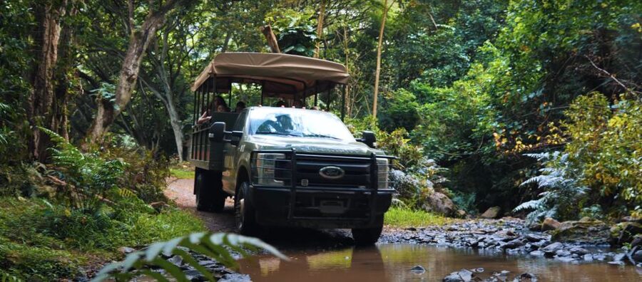 Oahu: Kualoa Open Air Jungle Expedition Tour - Riding into the Hakipuʻu rainforest