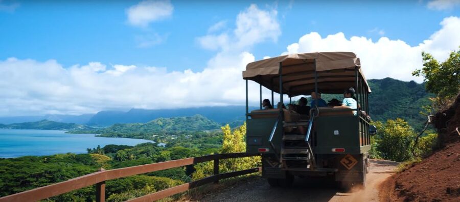 Oahu: Kualoa Open Air Jungle Expedition Tour - Who should take the Jungle Expedition