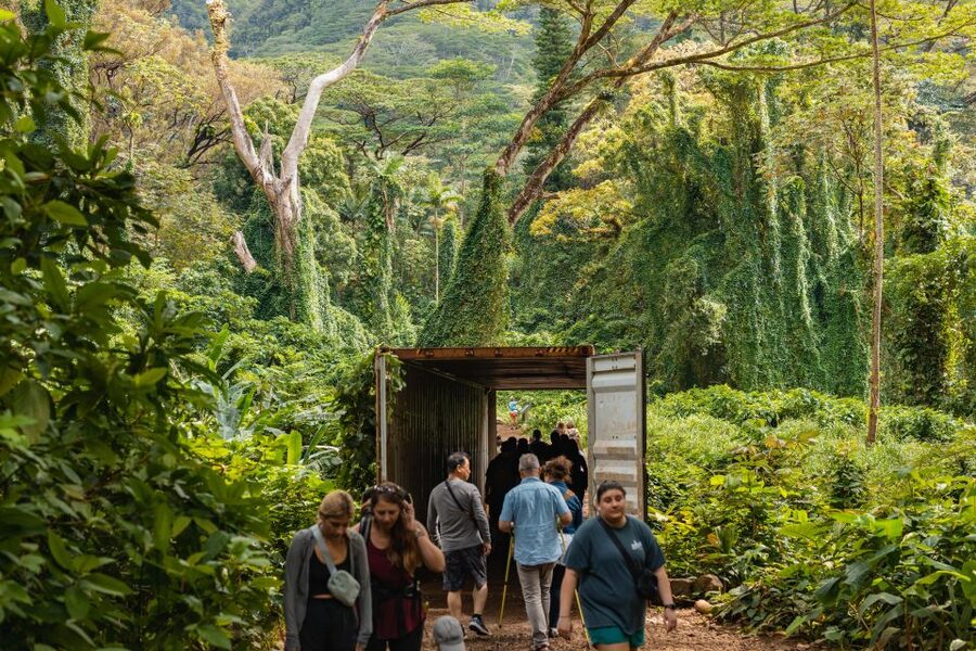 Oahu: Manoa Falls Waterfall Hike with Lunch and Transfers - Leaving Waikiki for Manoa Valley